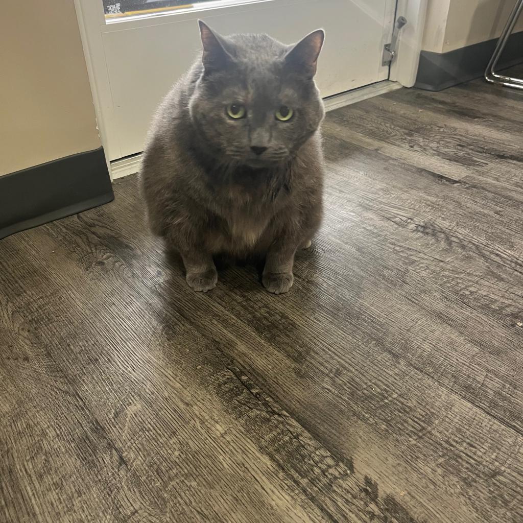 Suzie