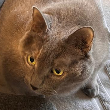 Suzie