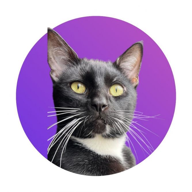 Whiskers