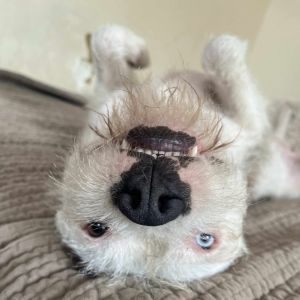Winnie