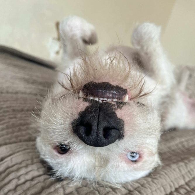 Winnie