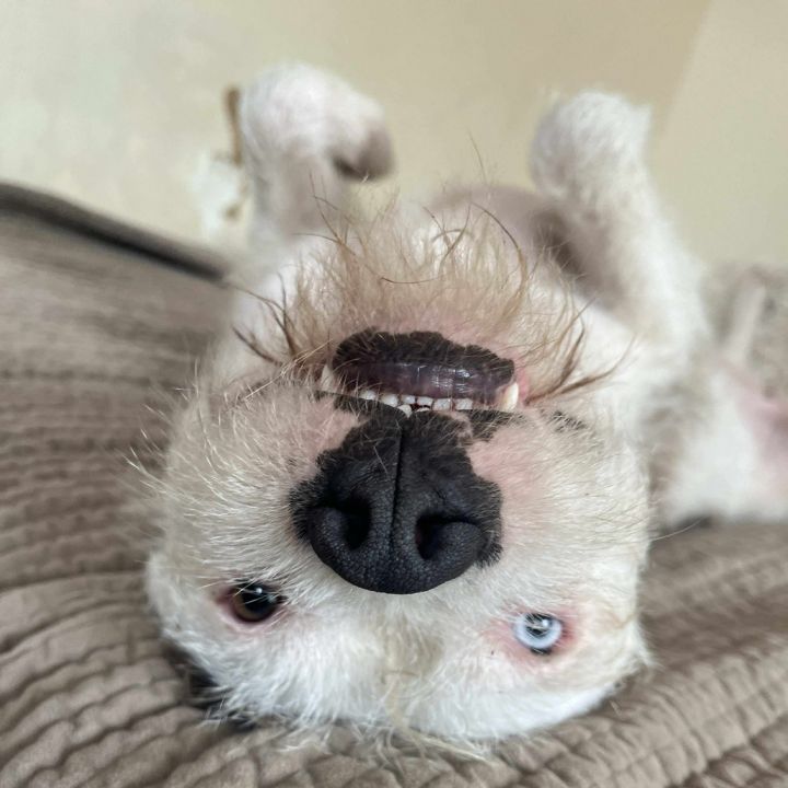 Winnie 1