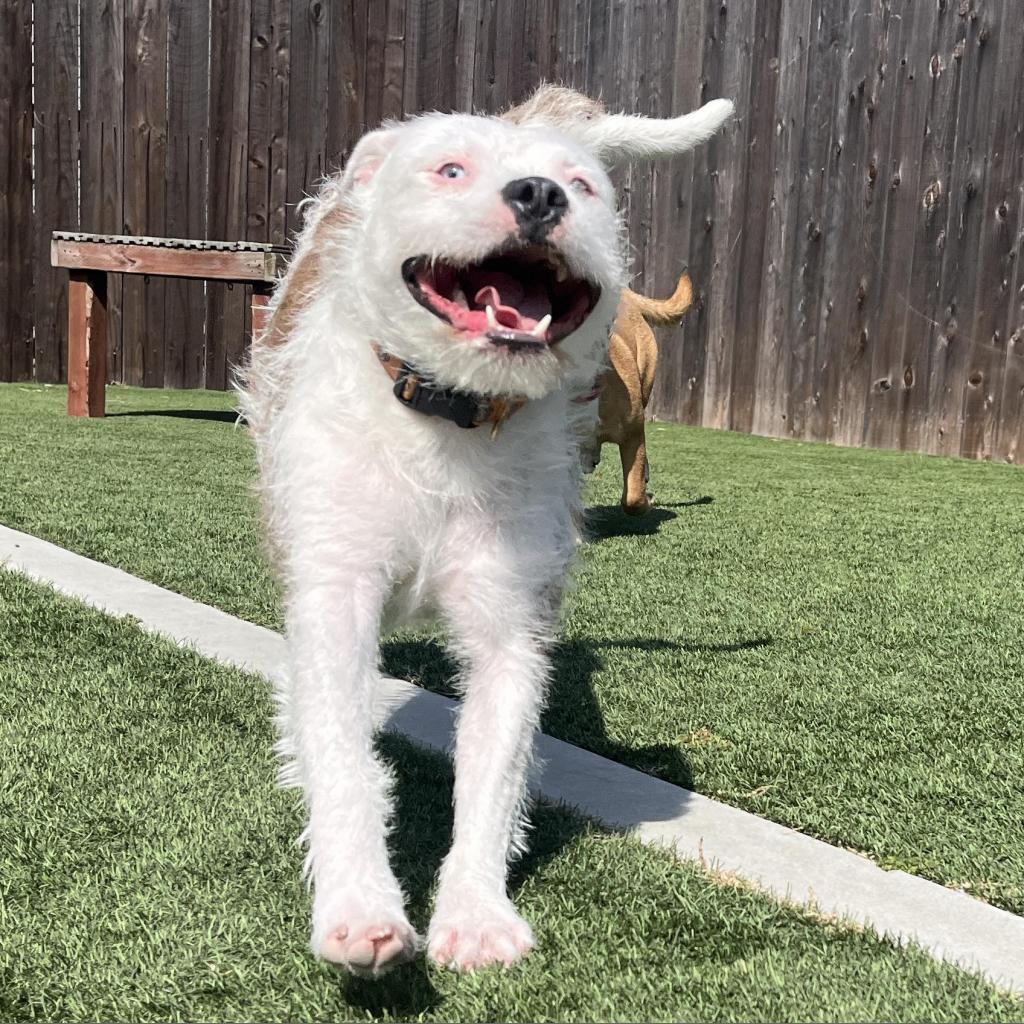 Winnie