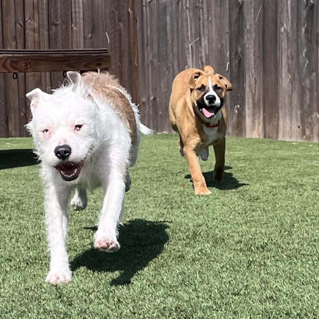 Winnie