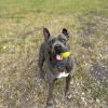 Lola photo 2