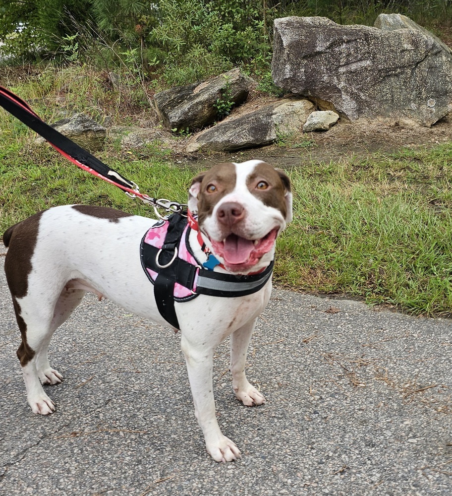 Mia