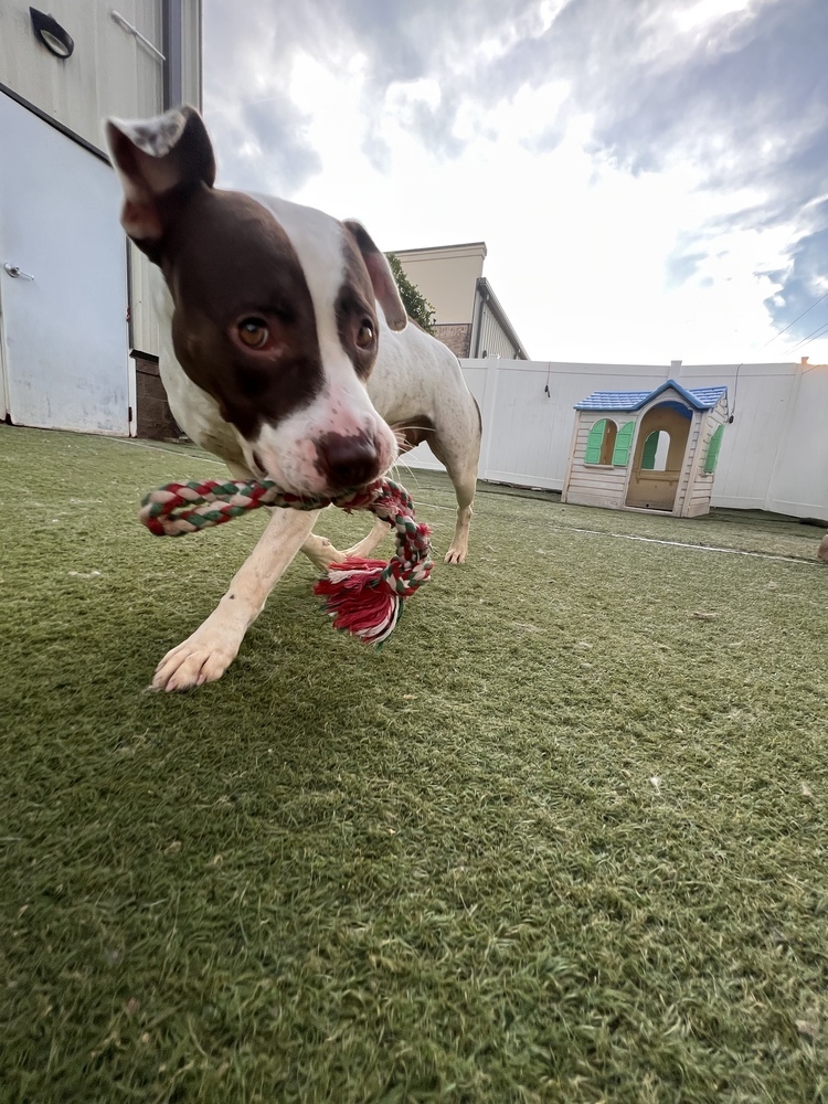 Mia
