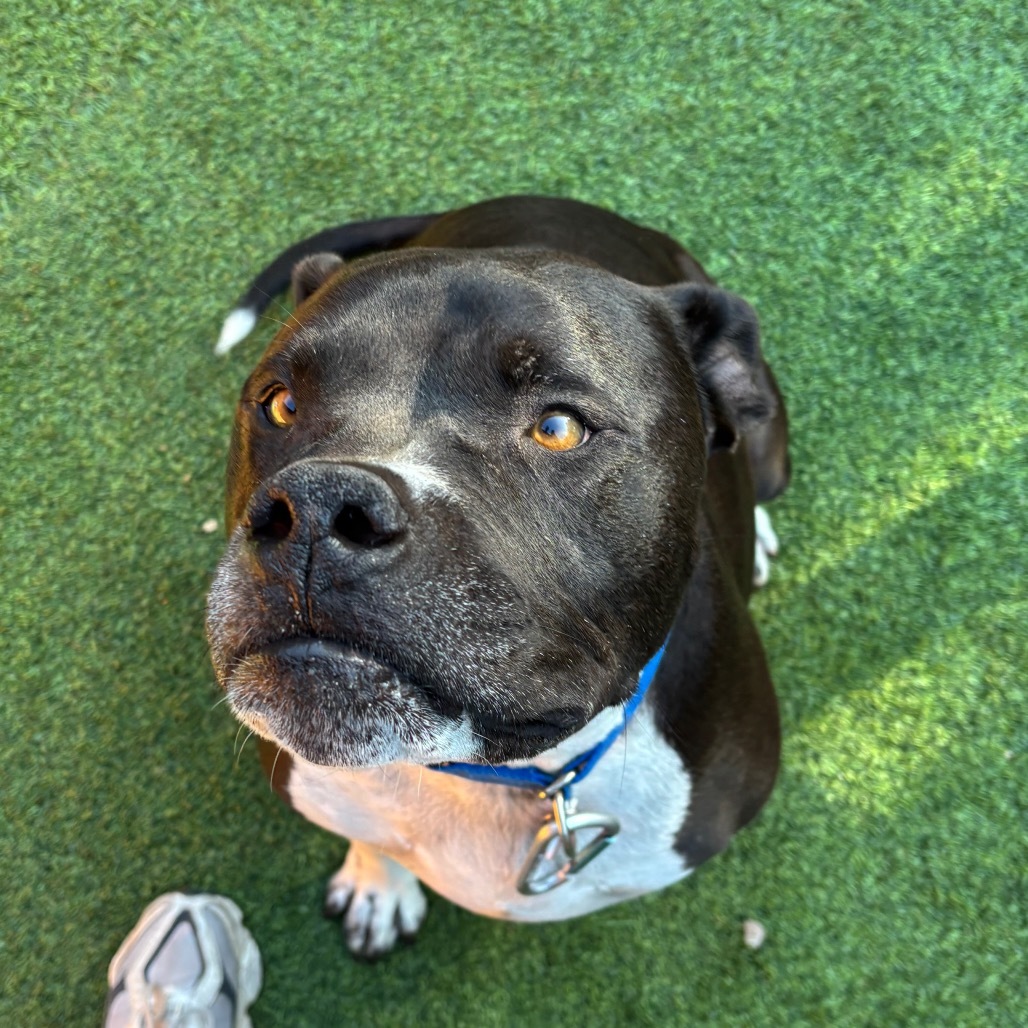 Jax
