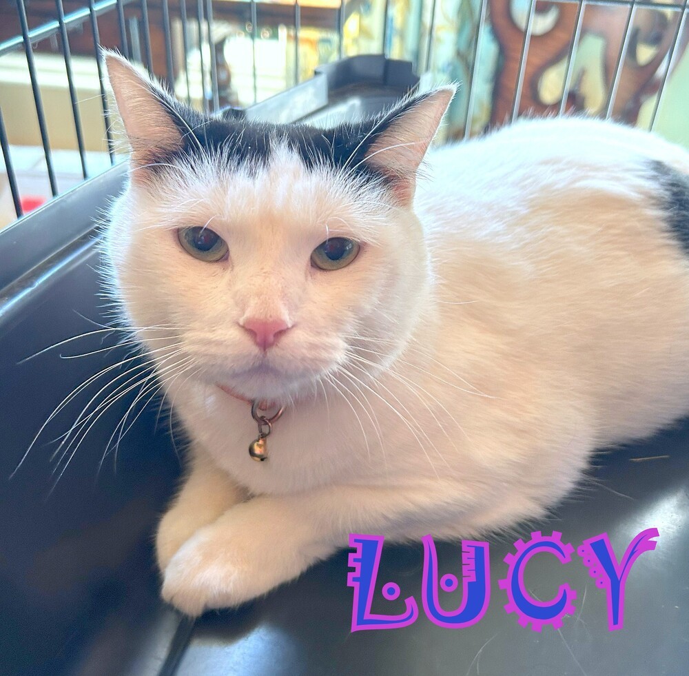 LUCY