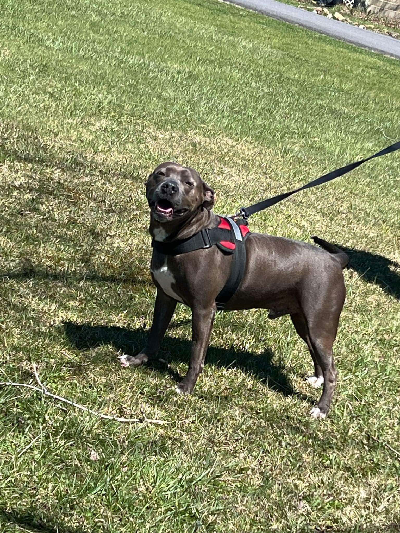 Winston