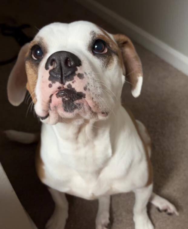 Rosie