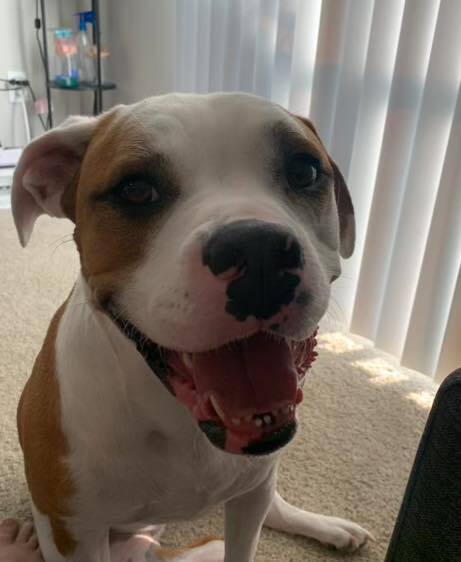 Rosie