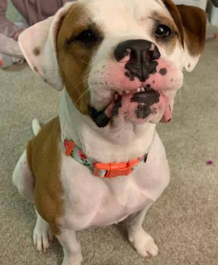 Rosie
