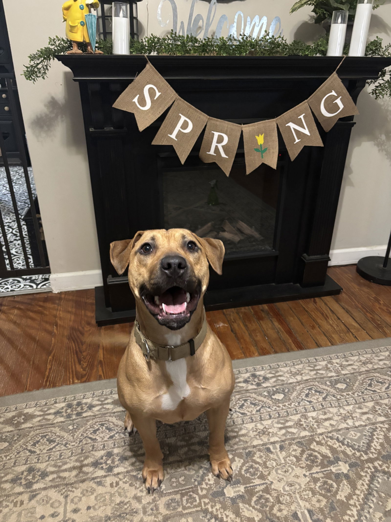 Chloe