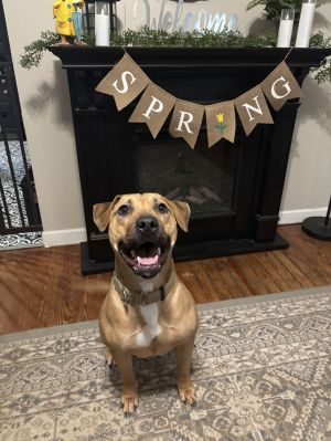 Chloe
