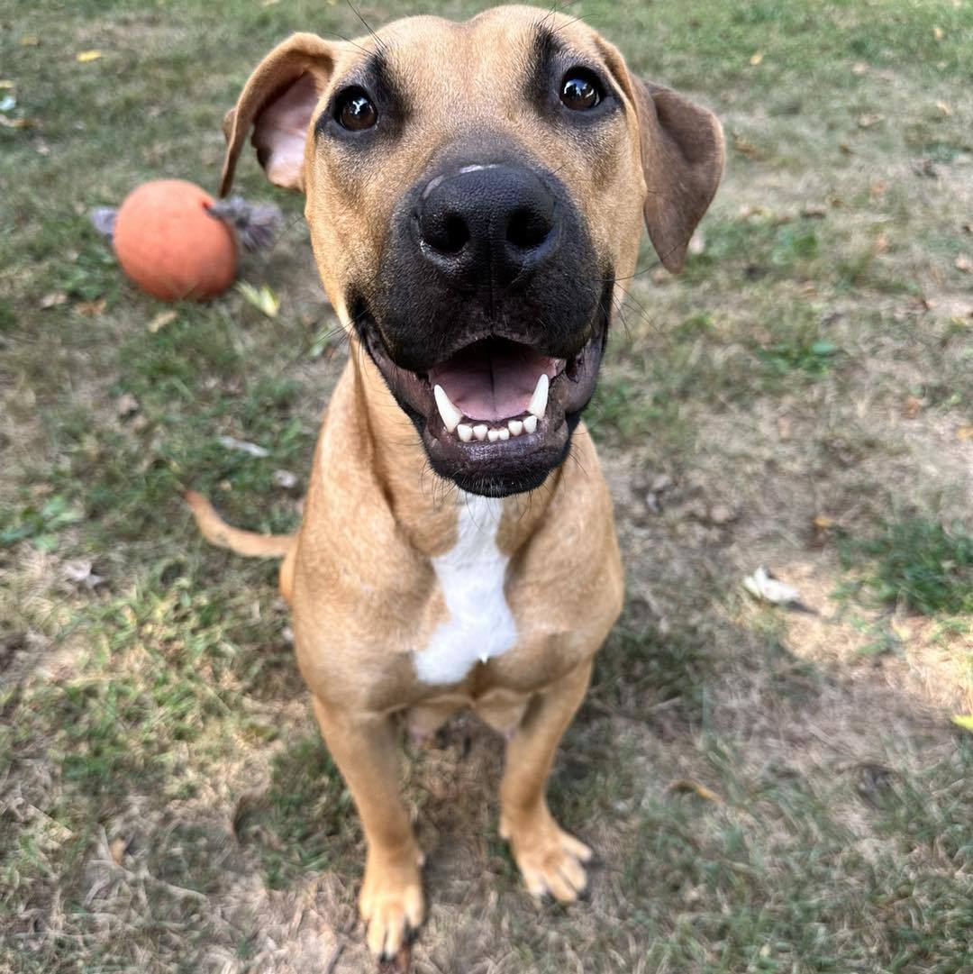 Chloe
