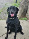 Nellie photo 1