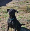 Nellie photo 2