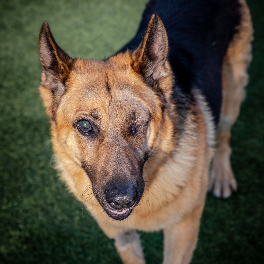 Boy A2165384