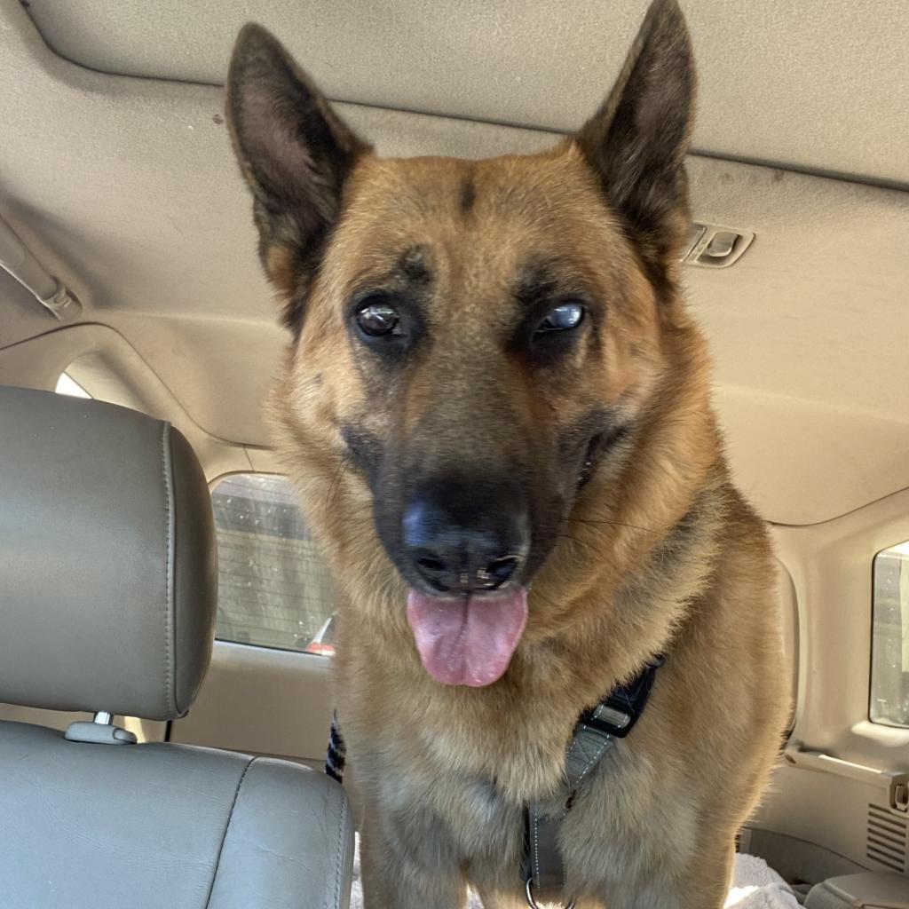 Boy A2165384