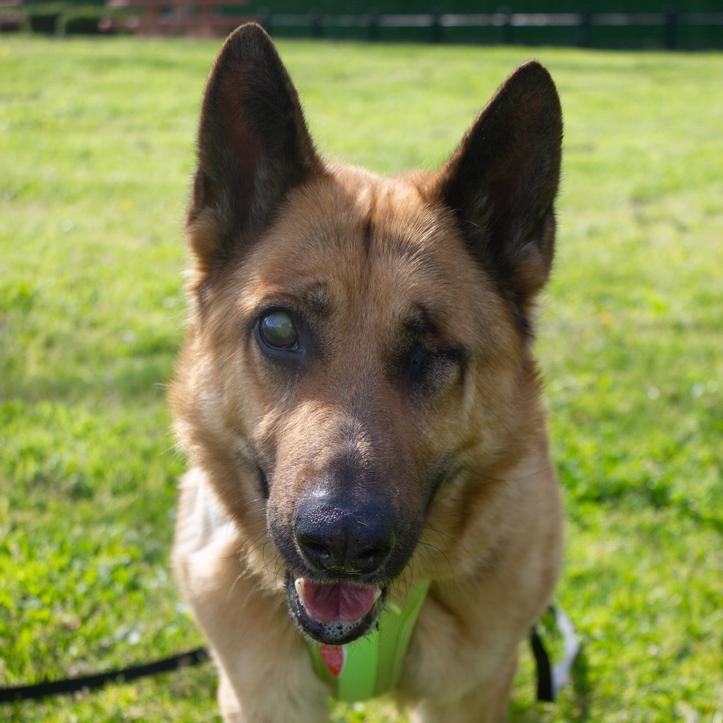 Boy A2165384