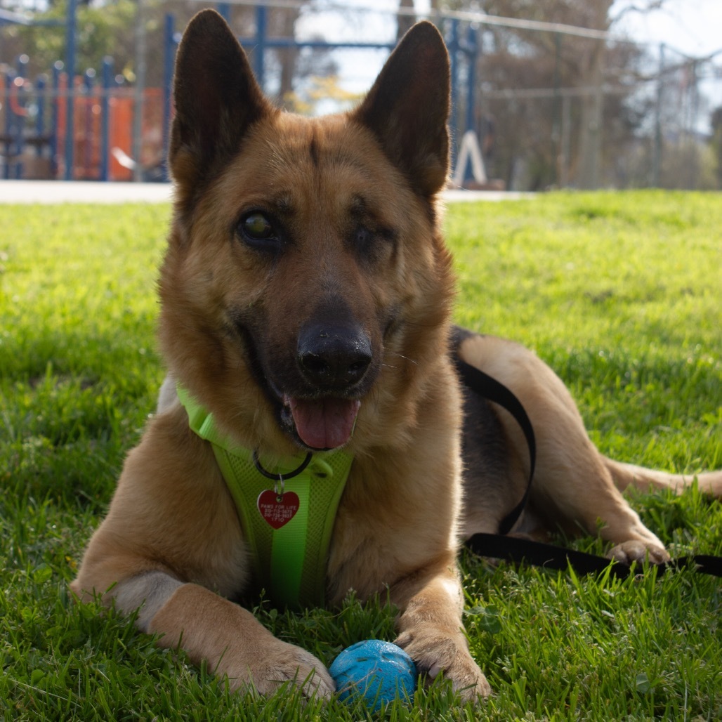 Boy A2165384