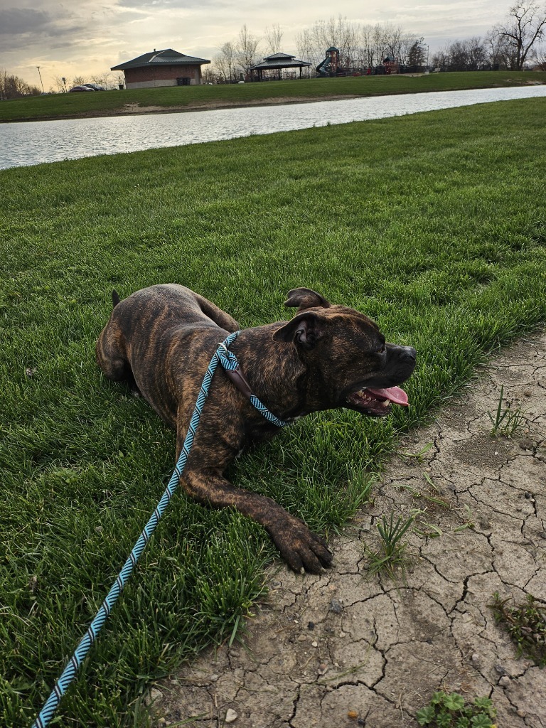 Kane
