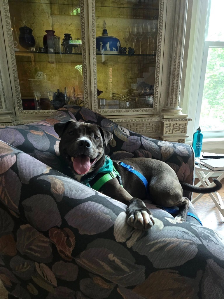 Oscar
