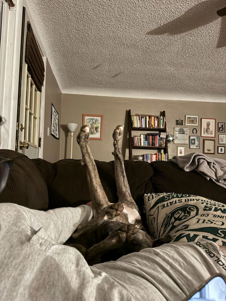 Hoagie