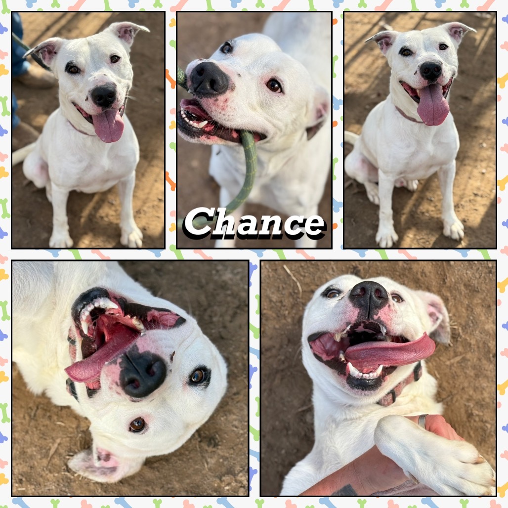 Chance