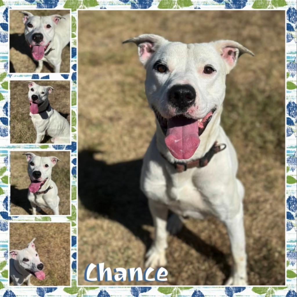 Chance