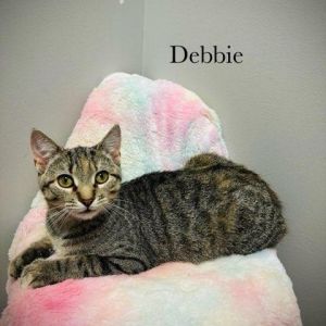 Debbie