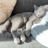 Luna photo 3