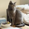 Luna photo 4
