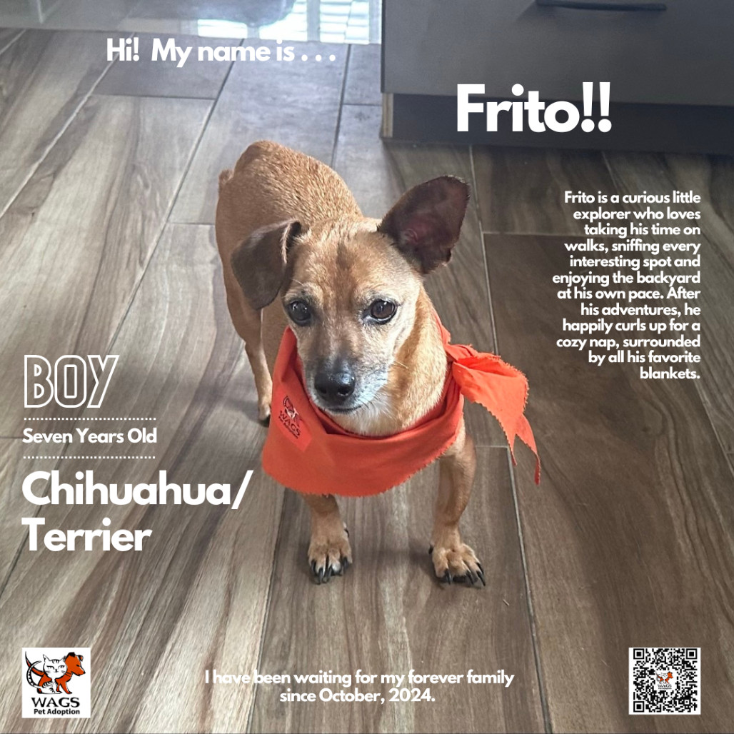 Frito