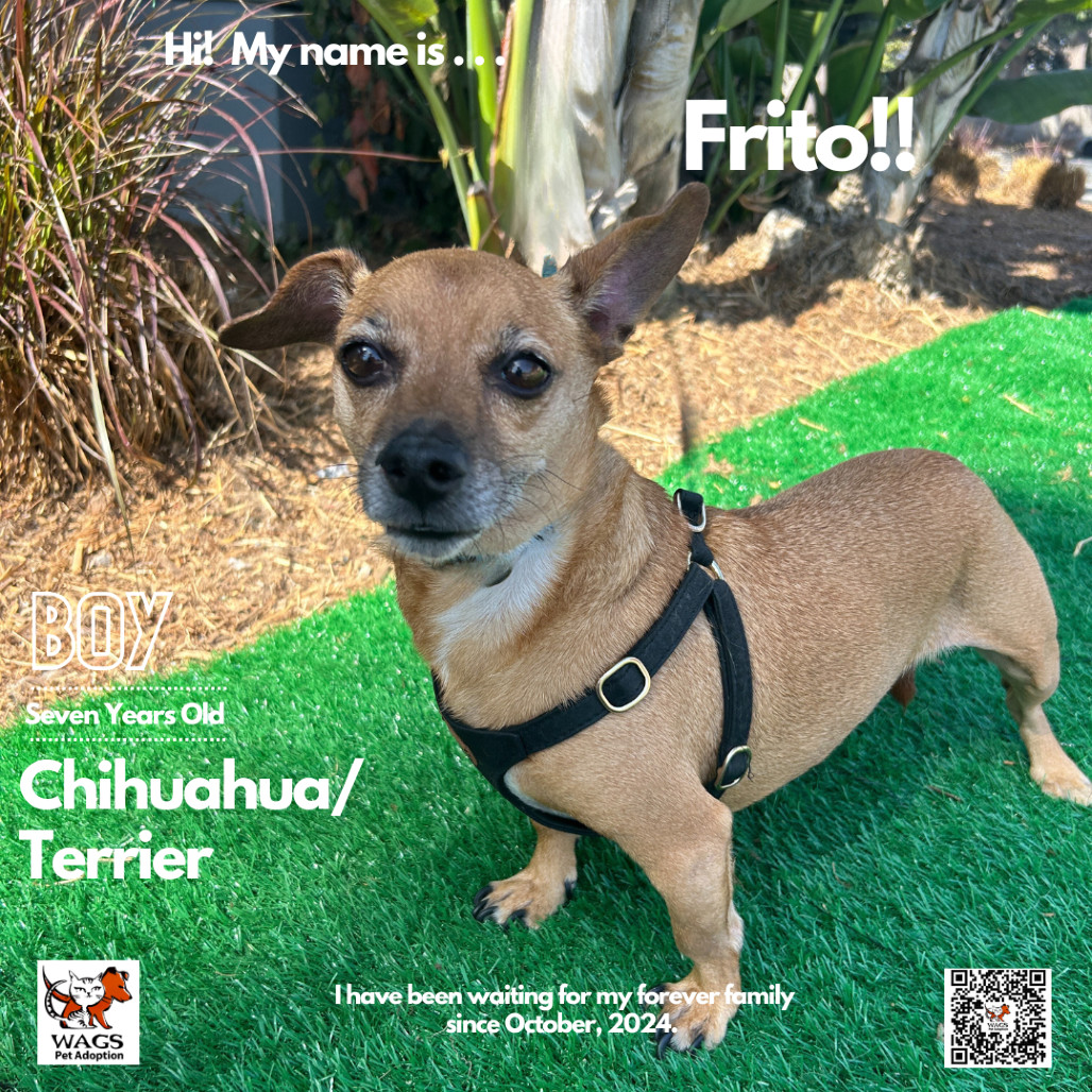 Frito