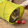 Gracie (Mom of grey litter) photo 3