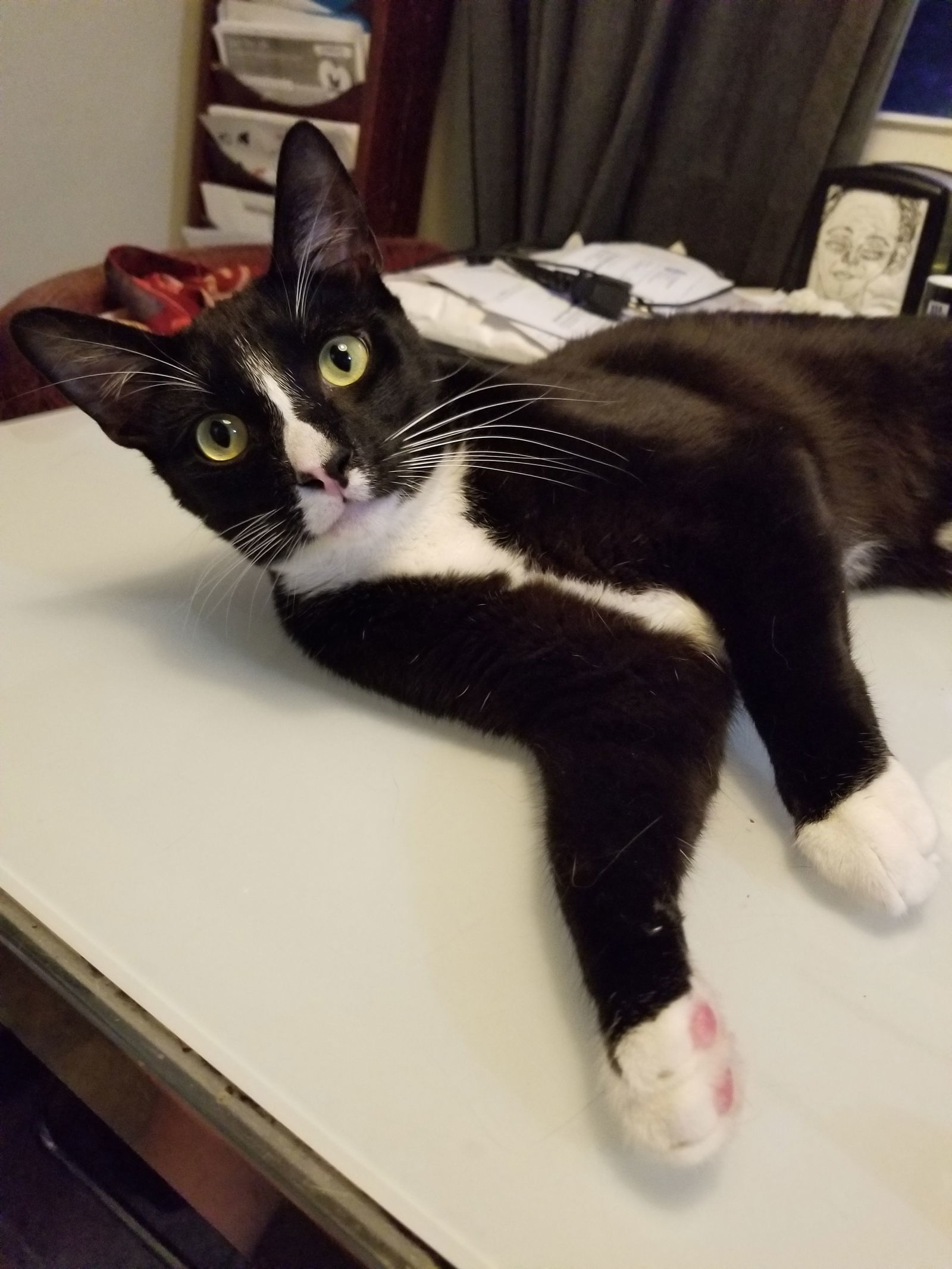 Office Assistance for hire Prince