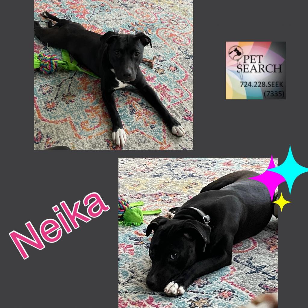 Neika