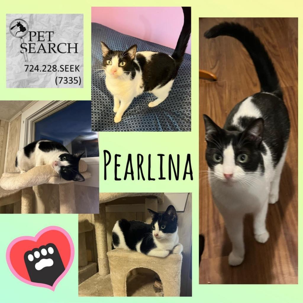 Pearlina