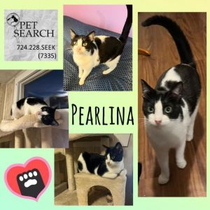Pearlina