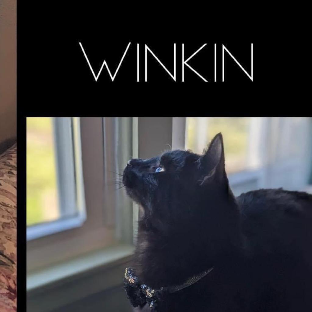 Winkin