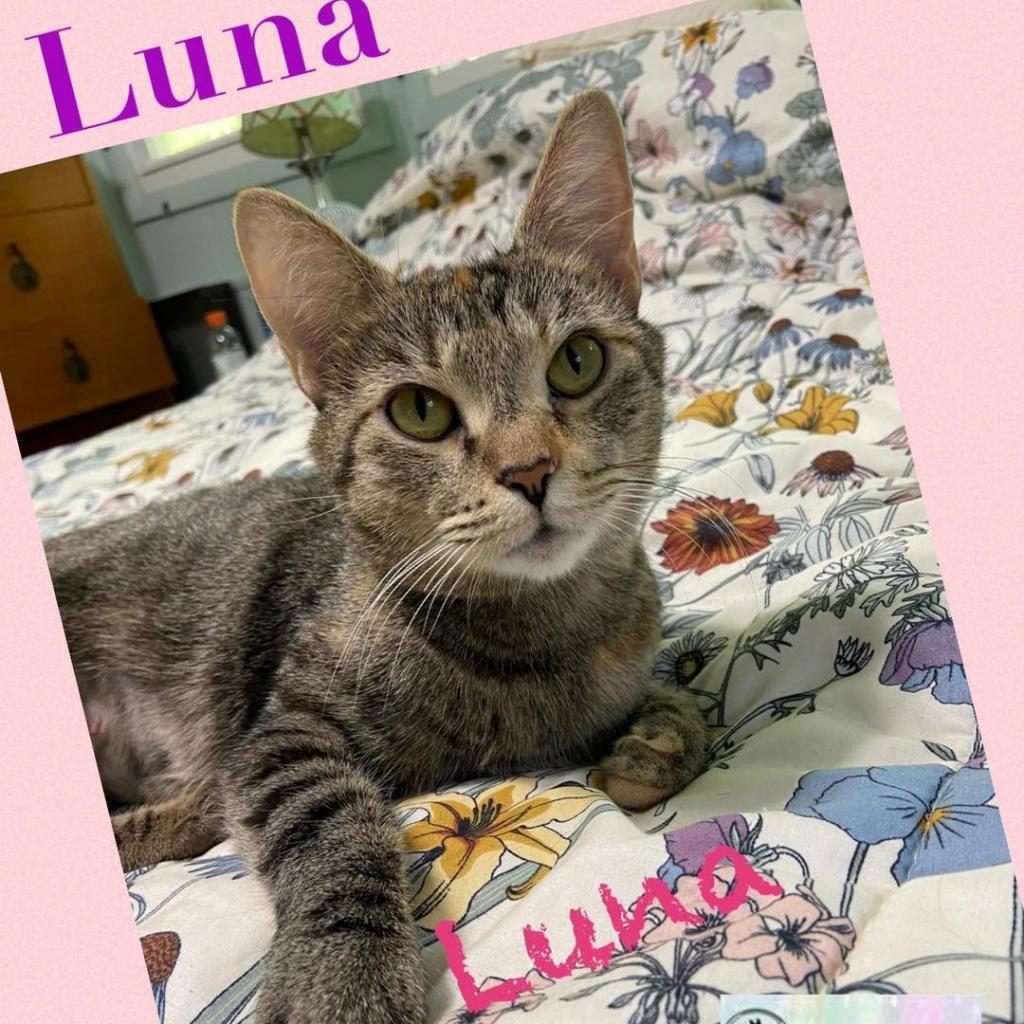 Luna