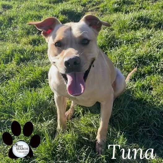 TUNA 1