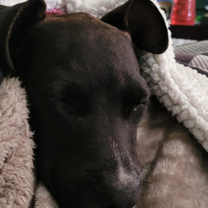 Izzy 2
