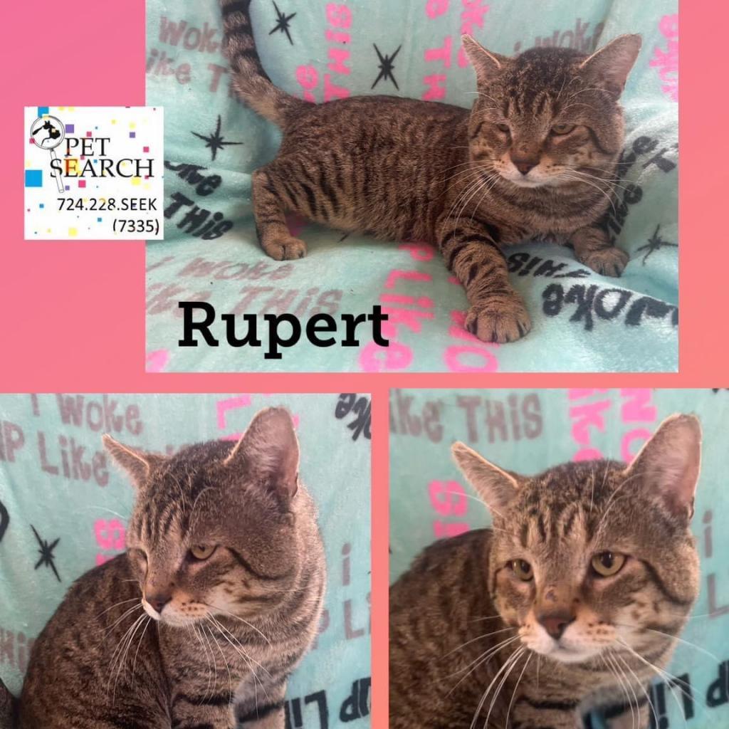 Rupert