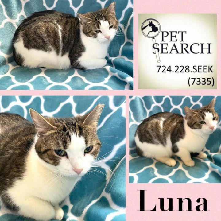 Luna 1