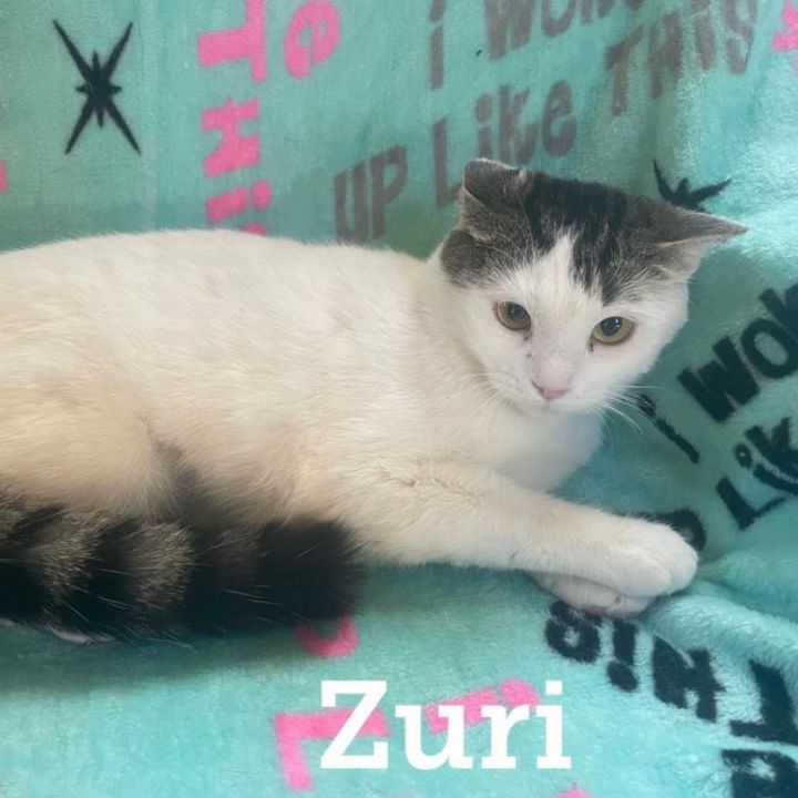 Zuri 1