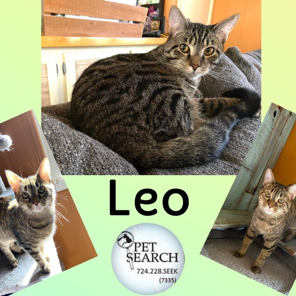Leo