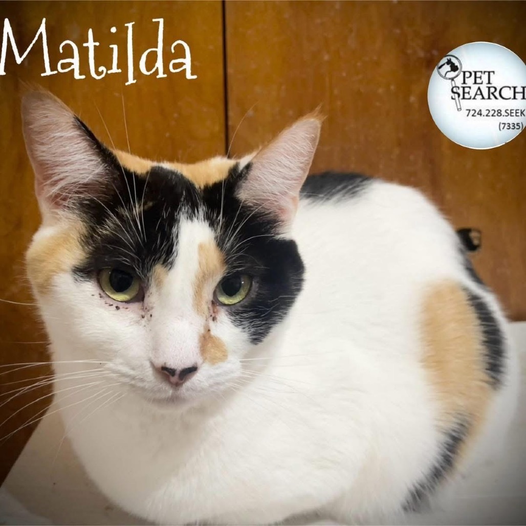 Matilda